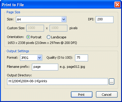 print_to_file